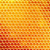 Texture Honeycomb