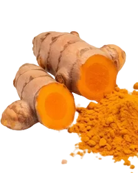 Curcuma